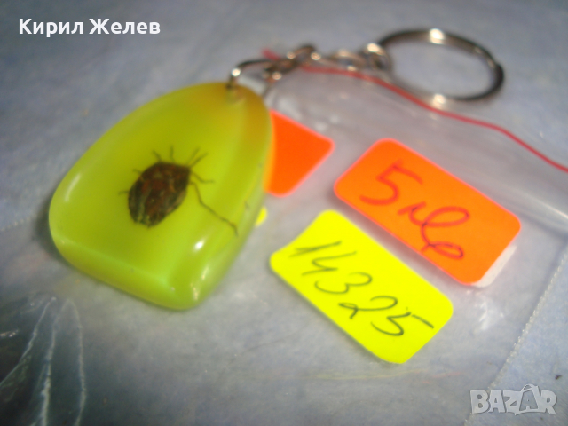 ИНТЕРЕСЕН КЛЮЧОДЪРЖАТЕЛ с ХЕРБАРИЗИРАНО БРЪМБАРЧЕ 14325, снимка 4 - Други - 36246312