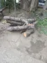 Дърва От Череша Нарязани, снимка 1