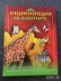 Детски книжки, снимка 12
