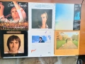  Chris de Burgh [LP VINYL] , снимка 7