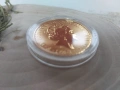 Златна монета Британия Елизабет 2023 (1 oz) 31.1 грама, снимка 4