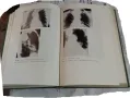 Продавам медицински учебник 4, снимка 3