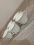 Винтидж/Стари чаши с чинийки, снимка 3