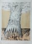 Картина, графика "Вавилонска кула", худ. П.Пецин, 2003 г., снимка 1 - Картини - 42415501