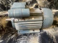 Ел. Мотор български 1.1 и 1.5kW НОВИ, снимка 2