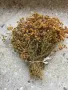 Червен риган -сушен , снимка 8