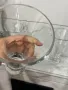 Стъклена ваза Германия 🇩🇪, снимка 9
