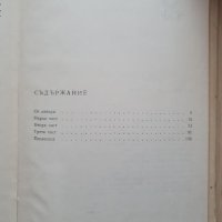 Искаш ли да избягаме - Кирил Божилов, снимка 6 - Детски книжки - 34760180