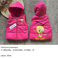НОВИ Бебешки и детски шушлякови елеци с подплата, снимка 16 - Детски якета и елеци - 44679157