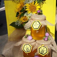 Пчелен мед, снимка 2 - Пчелни продукти - 41980682