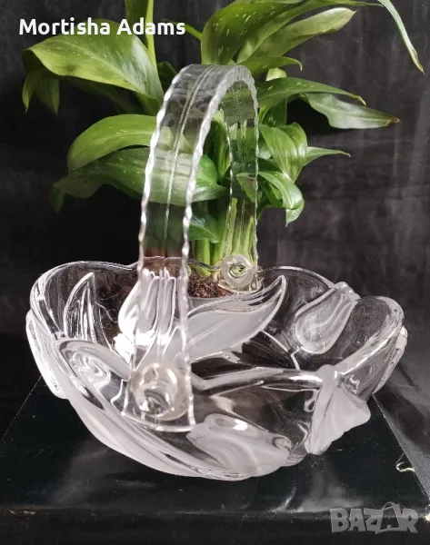 Walter glass, Nadine , снимка 1