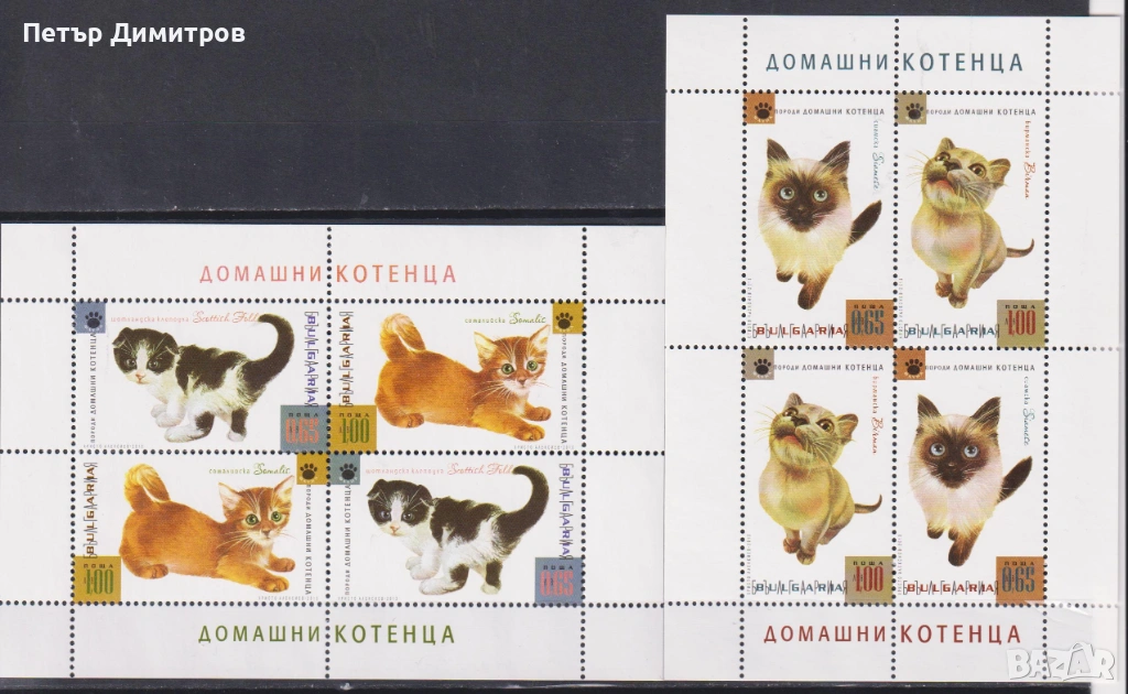 Чисти блокове Фауна Домашни Котенца 2013 от България, снимка 1