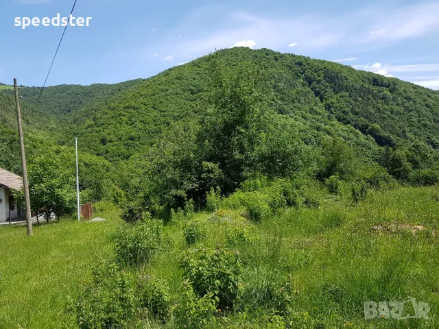 Рибарица 3000 кв.м. парцел и изграден до кота 0 стр., снимка 11 - Парцели - 50045804