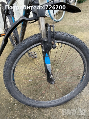 Kolelo, снимка 3 - Велосипеди - 53402012