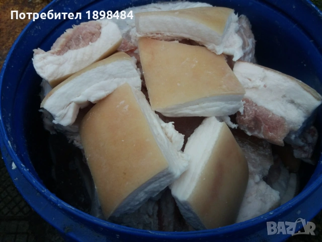 Продавам прясна сланина с месо по нея от домашно прасенце. 10лв за кг!