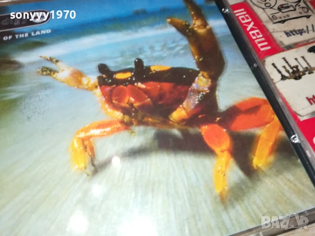 PRODIGY CD 1607251133, снимка 10 - CD дискове - 51037746