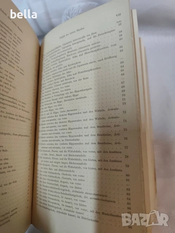 Антикварен медицински атлас по Анатомия (1875 г.) – Dr. Heitzmann, снимка 8 - Антикварни и старинни предмети - 53836569