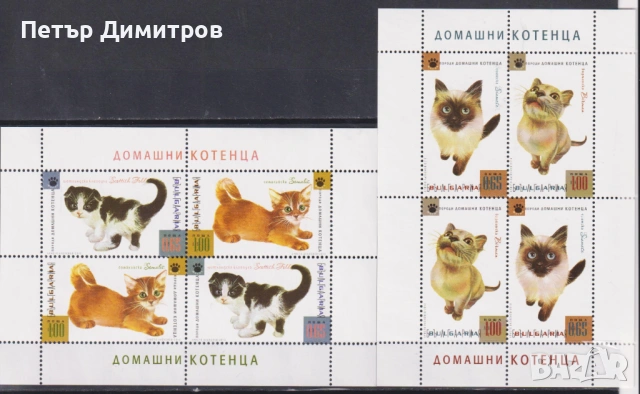 Чисти блокове Фауна Домашни Котенца 2013 от България