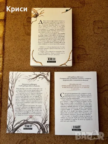 Жестокия принц, снимка 2 - Художествена литература - 49409853