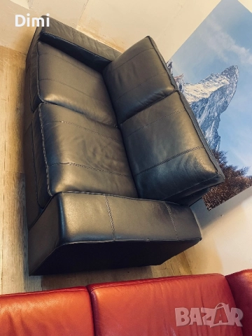 KIVIK-Кожени дивани*БЕЗПЛАТЕН ТРАНСПОРТ*2-местен диван естествена кожа, снимка 4 - Дивани и мека мебел - 52438697