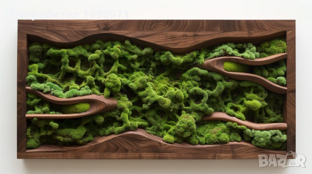 Стенен декор - пано. Ествествена дървесина с исландски мъх. Изработка по поръчка., снимка 13 - Декорация за дома - 53726848