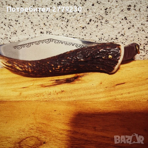 Стара Сойка с Еленов рог и орнаменти , снимка 16 - Други ценни предмети - 50850747