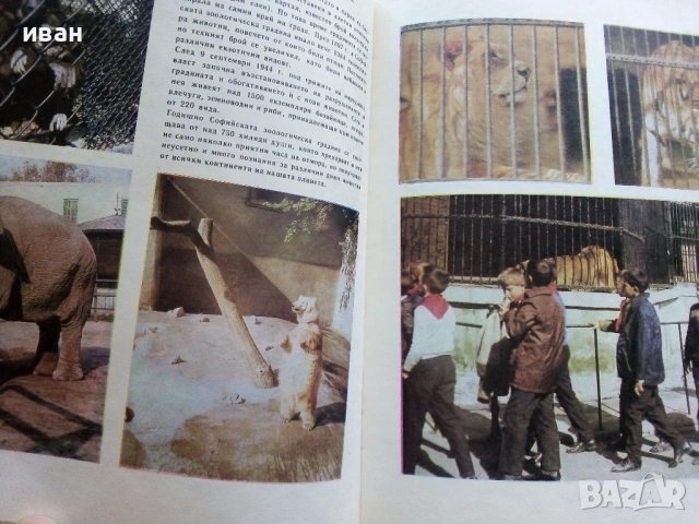 Картинна енциклопедия за юноши "Светът около нас - Книга 2"- 1974г., снимка 6 - Енциклопедии, справочници - 53383480