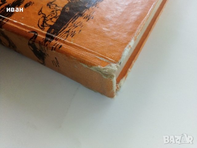 Сред природата с бележник - Е.П.Спангенберг - 1981г. , снимка 10 - Художествена литература - 41066787