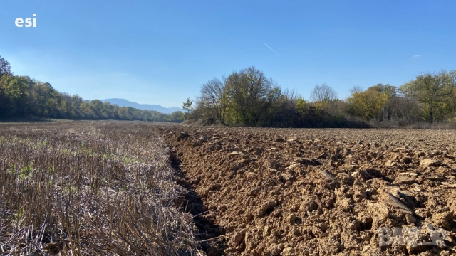 100 ЛВ/ДКА - Земеделски Земи в област Варна, снимка 2 - Земеделска земя - 52516317