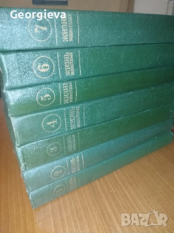 енциклопедия жизнь живот ни