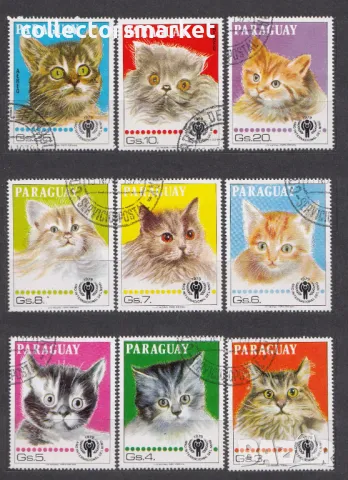 Домашни котки 1979, Уругвай