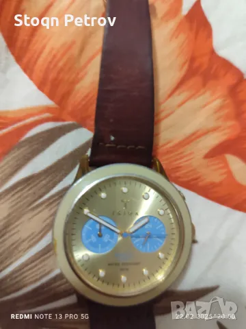 Часовник Triwa