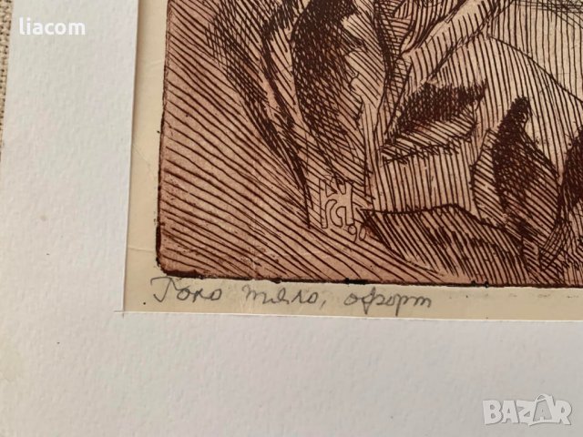 ЕЛКА НАЙДЕНОВА диптих, снимка 8 - Картини - 33822647