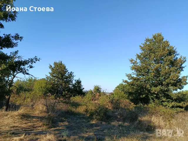 Земеделска земя в село Равна гора област Варна община Аврен
