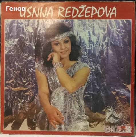 Сръбски грамофонни плочи, снимка 9 - Грамофонни плочи - 53378865