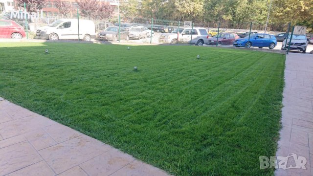 Възтановяване/поправка/сгъстяване на тревната покривка.Затревяване/засаждане с професионална машина