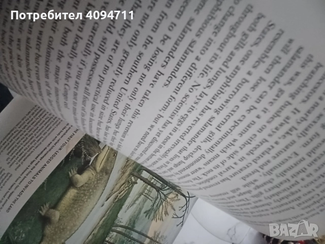 Life on Earth by David Attenborough, снимка 4 - Енциклопедии, справочници - 52489001