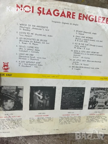 Грамофонна плоча - нови английски песни, снимка 4 - Грамофонни плочи - 51363602