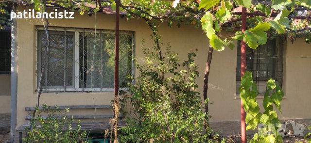 Къща с двор, лозе, басейн, барбекю и бесетка, снимка 15 - Къщи - 42591138