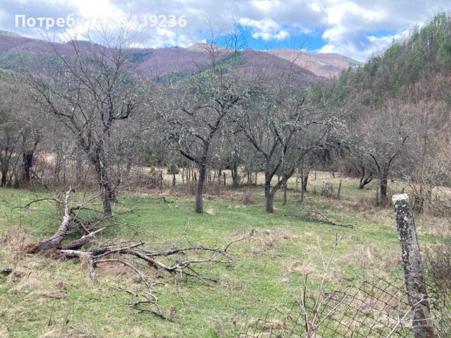 Имот, снимка 5 - Парцели - 42190532