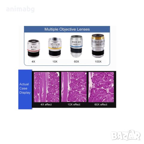 ANIMABG Професионален биологичен микроскоп с електронен окуляр , Лесен за използване на открито, снимка 3 - Друга електроника - 41503684