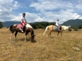 Ездитен кон Аблай Хан, снимка 15