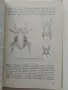 "Болести и неприятели по зеленчуковите култури", снимка 2