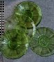 Кристални чинии в зелено, снимка 1 - Чинии - 44214279