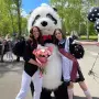 Голям Надуваем Костюм Маймуна Горила за изненади детски рожден ден парти, снимка 13