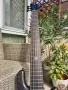 бас китара Spector NS Pulse II 6, снимка 6