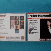 Peter Hammill-Discography 1971-1999(30 албума)(3CD)(Prog Rock)(Формат MP-3 ), снимка 3 - CD дискове - 40887624
