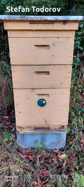 пчелни кошери дадан блат, снимка 1