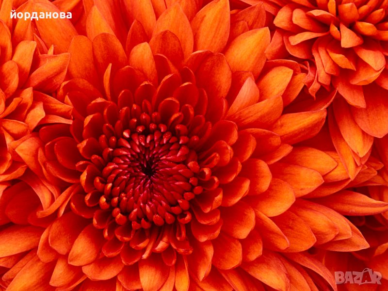 Разработени теми за държавен изпит  по ПНУП. Може изпращане на отделни теми, снимка 1