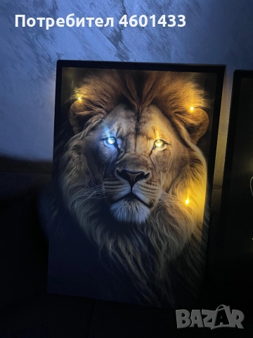 Светеща картина с LED осветление